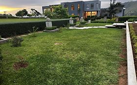 At Thesoil